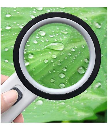 Glass with Lamp 30 Times 100MM Repair Handheld Magnifier Old Reading Black Made in China - Buy Online on GoSupps.com