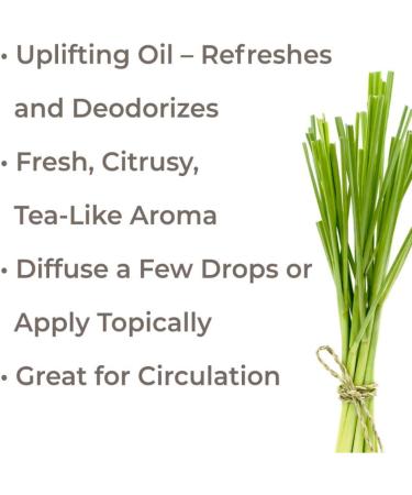 Buy Plant Therapy Lemongrass Essential Oil 100% Pure - Natural Aromatherapy Therapeutic Grade 100 mL (3.3 oz) - Fast International Shipping - Buy Online on GoSupps.com