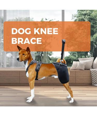 Dog Knee Brace for Torn Hind Leg or Back Leg Adjustable Pet Dog Rear Leg Bracer Support for Joint Pain Muscle Sore Knee Cap Dislocation Black for Injury Arthritis ACL Pain Relief(Large) - Buy Online on GoSupps.com