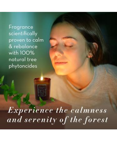 William Morris At Home Forest Bathing Refresh & Reset Bathtime Set | Candle 30g Body Wash 100ml Face Towel Forest Bathing Bathtime Set - Buy Online on GoSupps.com