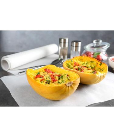 SAFLAX - Gift Set - Organic - Squash - Spaghetti - 5 Seeds - with Gift Box Card Label and Potting Substrate - Cucurbita Pepo - Buy Online on GoSupps.com