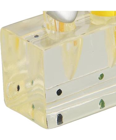 Professional Removable Zahnpulpa Model - Dental Endodontic Training Tool | Stable Resin for Students - Buy Online on GoSupps.com