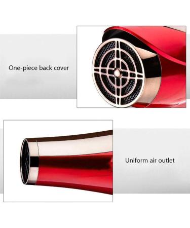 Professional Hair Dryer 2400W AC Motor Negative Ionic Technology Blow Dryer with 3 Heat & 2 Speed Setting and Cool Shot Button Concentrator Nozzle Included for Home and Salon Men and Women B Small - Buy Online on GoSupps.com