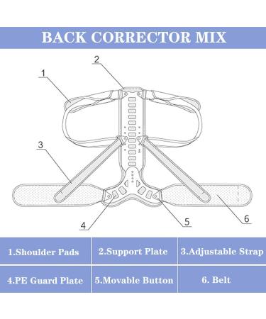 SFKLYU Adjustable Cervical Thoracic Halo Brace - E scoliosis Corrector & Posture Support for Kyphosis & Hunch Relief - Small Size - Buy Online on GoSupps.com