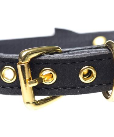 Master Series Golden Kitty Cat Bell Collar - Black & Gold | Premium International Shipping - Buy Online on GoSupps.com