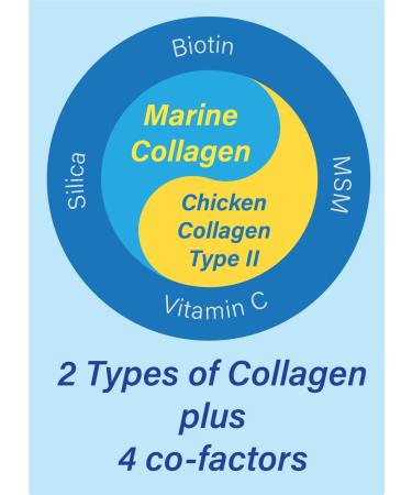 TruPure Multi Collagen Peptide Powder - Advanced Formula with Marine Collagen Chicken Collagen Type II plus MSM Vitamin C Silica and Biotin - Comprehensive Collagen Support for Skin Hair Nails Muscles Joints and Connective Tissue - 200g Jar 30 Servings 60 - Buy Online on GoSupps.com