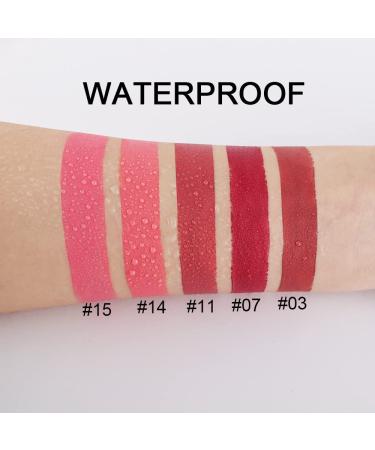 5Pcs Dark Orange Red Pink Mauve Matte Lipstick Set - Long Lasting Smudge Proof Lipstick Kit for Women - Buy Online on GoSupps.com