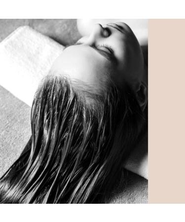  PH Laboratories Ph Laboratories Pure Repair Treatment 500ml - repair treatment with hyaluronic acid - Buy Online on GoSupps.com