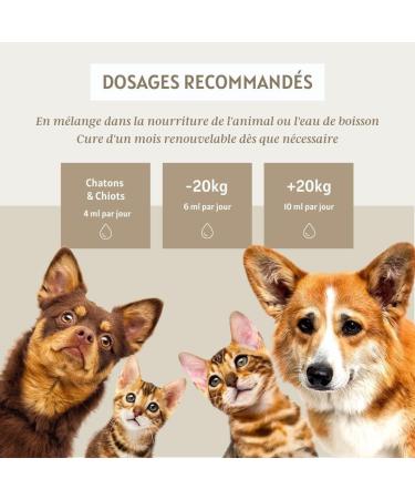 Glucose Regulator 200ml for Dogs and Cats - Natural Support for Blood Sugar Control of Metabolic Health Essential Food Supplement - Buy Online on GoSupps.com