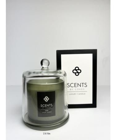 Essential Oil Strong Scented Candles - Scent Candle with Jars - Non Toxic Prefect Scents for Relaxation - Best Soy Wax Candle with Admiralty Glass - 40 to 50 Hours Burning Time - CHEE - 46.4 OZ 46.4 OZ CHEE