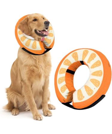 Ducomi Inflatable Hinges for Dogs & Cats | Post-Op Relaxation & Movement Freedom | XS Apple - Prevent Scratches & Bites - Buy Online on GoSupps.com