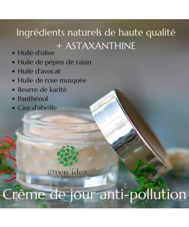 Green idea Astaxanthin cream Nourishing day cream Antioxidant cream Antiaging cream with wild rose oil shea butter panthenol for dry skin antiwrinkle cream 50 ML - Buy Online on GoSupps.com