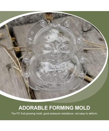 Cabilock Fruitella 2Pcs Cucumber Shaping Clear Watermelon Growing Molds Transparent Pear Growing Fruit Vegetable Shaping Mould Vegetables - Buy Online on GoSupps.com