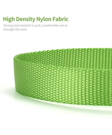 Audwud Adjustable Thick Nylon Dog Collar | Classic Neon Green | Sizes for Small Medium & Large Dogs | Durable & Comfortable - Buy Online on GoSupps.com