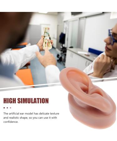Buy Minkissy Silicone Human Right Ear Model | Fake Ear for Piercing & Acupuncture Simulation | 6.5x3.5 cm - Ideal for Body Part Ads - Buy Online on GoSupps.com
