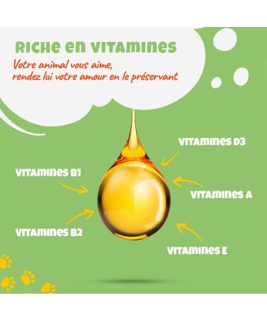 Thilife | Hemp Seed Oil for Dogs and Cats | Beef Flavor | Natural and Rich in Omega 3 6 9 | Vitamins A/B/D/E | for Joint Problems Immune System and Stress Management - Buy Online on GoSupps.com