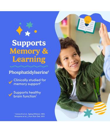 FIRST DAY Kids Focus & Brain Supplement Gummies Ages 4+ | Attention & Calm Support with Cognizin Citicoline & Phosphatidylserine | Organic, Vegan | 30-Day Supply - Buy Online on GoSupps.com