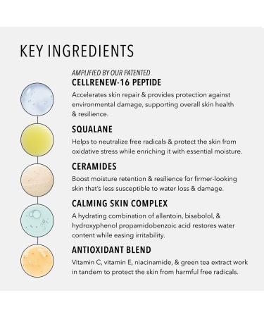 HydroPeptide Barrier Builder Reparative Nourishing Therapeutic Face Cream 1.7 Ounce - Buy Online on GoSupps.com