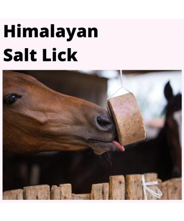 2x Himalayan Pink Salt Compressed Lick - Horse Cow Sheep Animal - 6kg each - Buy Online on GoSupps.com
