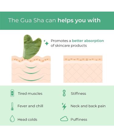 Plantifique Gua Sha Facial Tools - Anti Aging GuaSha Massage Tool for Face Sculpting - Jawline Sculptor and Skincare Routine Essential - Buy Online on GoSupps.com