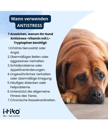 Buy Itiko Vitamins for Dogs | Delicious Calming Supplement | Seastant for Nervous System Improvement | L-Tryptophan 150mg - Buy Online on GoSupps.com