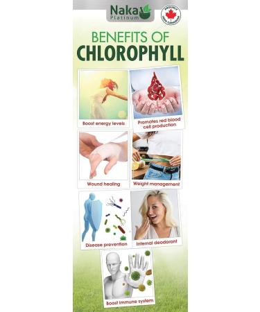 Naka Platinum Nutri COLLAGEN For Joint Bone and Skin Health 5 000 mg of Peptain Collage per 15 ml serving - 600 ml Extra BONUS Size (500+100 FREE) - Buy Online on GoSupps.com