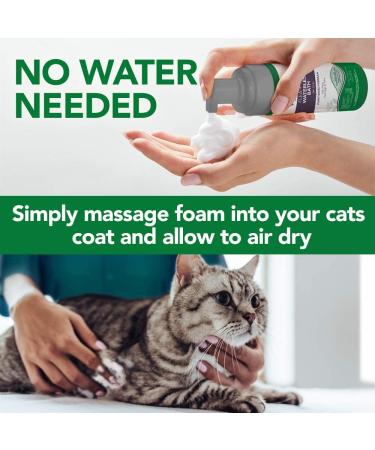 Vet's Best Flea Treatment - 8 Ounces - Buy Online on GoSupps.com