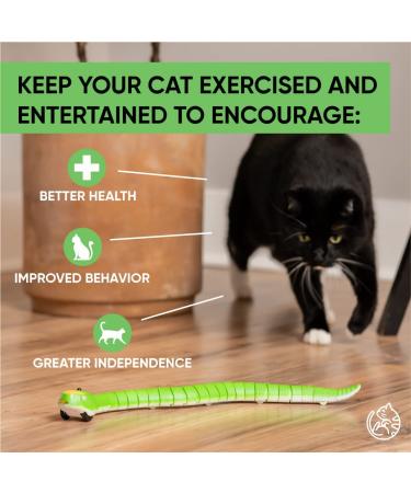 Remote Control Snake Cat Toy - Interactive RC Toy Snake for Active Indoor Cats | Realistic and USB Charged - AmazinglyCat - Buy Online on GoSupps.com