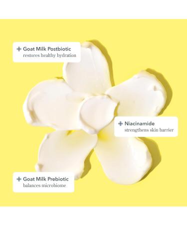 Beekman 1802 Milk Scrub Oat + Goat Milk Exfoliating Face Cleanser (6 fl oz) + Bloom Cream Daily Face Moisturizer (1.69 oz) - Good for Sensitive Skin - Cruelty Free - Buy Online on GoSupps.com