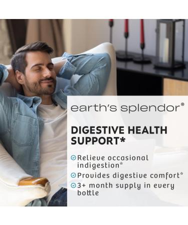 Earth's Splendor Ginger Root 550 mg Supplement for Men & Women Supports Digestive Health No Artificial Color or Preservatives (550 mg 100 Capsules) - Buy Online on GoSupps.com