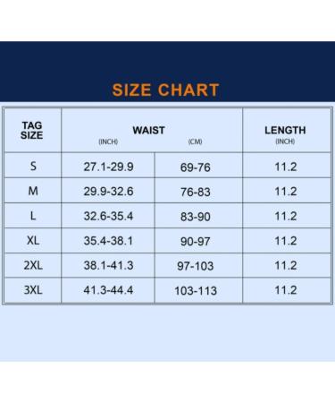 Back Support Back Brace Lumbar Support Waist Trainer Thermo Sweat Belt Girdle Corset Tummy Body Shaper Abdomen Fat Burning Back Support Belt(Blue Large) Large Blue - Buy Online on GoSupps.com