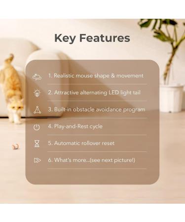 Cheerble Interactive Cat Toys for Indoor Cats Automatic Cat Toy with LED Lights  Wicked Mouse Toy USB Rechargeable Auto On & Off - Yellow - Buy Online on GoSupps.com