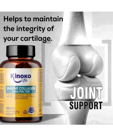 KINOKO LIFE - Hyaluronic Acid Marine Collagen | 180 Capsules Plant Extracts Coenzyme Q10 Vitamin C Magnesium Leucine Turmeric | Collagen and Hyaluronic Acid | Food Supplement - Buy Online on GoSupps.com