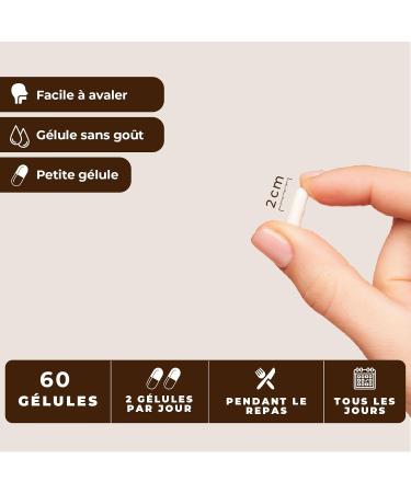 Women Multivitamins for Menopause Symptoms | Bone Health Immune Function Female Digestive Wellness | 10 Natural Compounds Vegan | 60 Capsules/1 Month - Buy Online on GoSupps.com