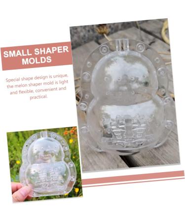 VANZACK Novel Shaping Mold Fruit Ginseng Vegetable Shaping Mold Pear Forming Mold Multi-Function Shaping Mold Tool Small - Buy Online on GoSupps.com