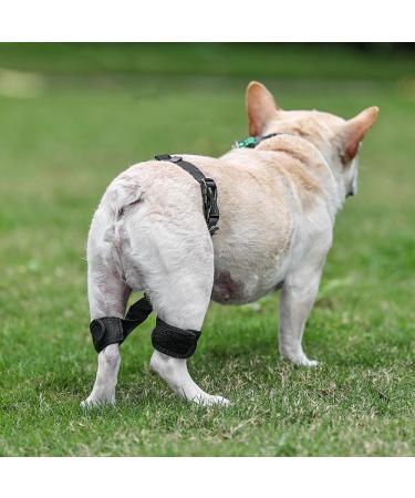 DONGKER Dog Knee Brace Adjustable Dog Knee Brace for Dogs Hind Legs Recover - Buy Online on GoSupps.com