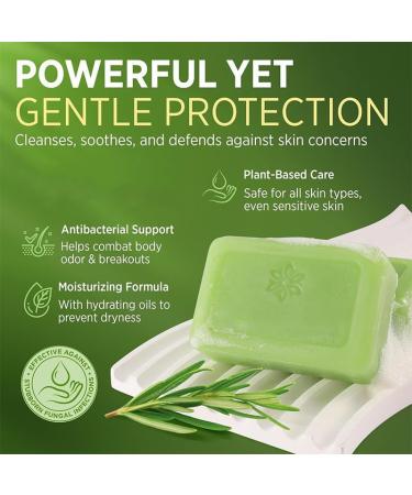 Tea Tree Oil Soap for Face and Body Deep Cleanses with Coconut Oil and Witch Hazel Foot Wash Foot Soap against Fungus and Odour - Buy Online on GoSupps.com