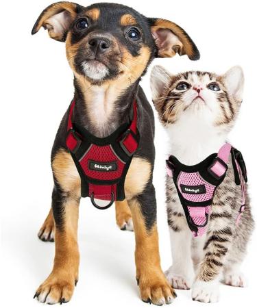 Breakproof Cat Dishes & Adjustable Soft Vest Set for Small Kittens | Reflective Stripes | Red XXS - Buy Online on GoSupps.com
