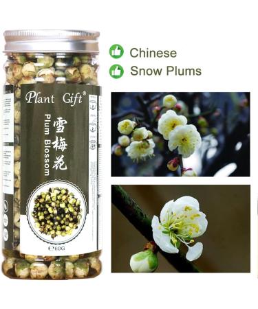 PlantGift Snow Plum Blossom Tea 60G/2.11oz Blossom Tea Flower Chinese Dried Plums Health Tea - Buy Online on GoSupps.com