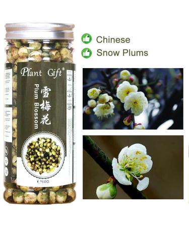 Buy Organic Snow Plum Blossom Tea | Anti-Aging Dried Flowers Tea - 60g - Buy Online on GoSupps.com