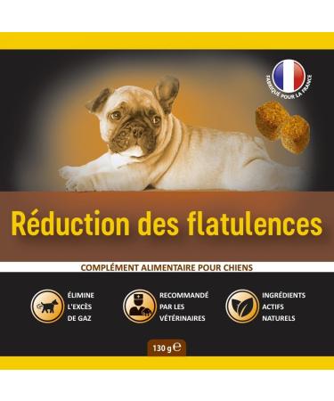 Anti Flatulence Treatment for Dogs - Food Supplement for Dogs against Flatulence - 60 Dog Kibbles for Anti Flatulence - Chicken Flavor (French) - Buy Online on GoSupps.com
