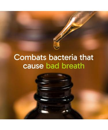 Organika Bee Propolis Tincture 1 oz x 2 Pack: Clean and Vegan Propolis Extract for Immune Defenses Throat and Breath - Free of Gluten GMO & Artificial Flavors - 20 Day Prop Drops Supply 1 Fl Oz (Pack of 2) - Buy Online on GoSupps.com