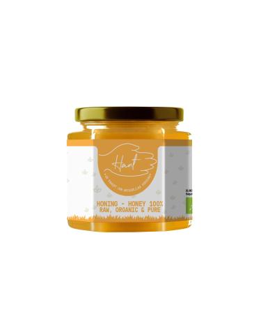 HANT BIO Raw Honey Unheated Unfiltered & Pure 100 EU + FREE SPOON 500g