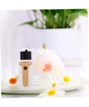 VINTORKY Face Steamer 1 Set Hydrating instrument portable facial steamer face mist Face Sprayer Moisturizer Spa 10X3.3cm Pink - Buy Online on GoSupps.com