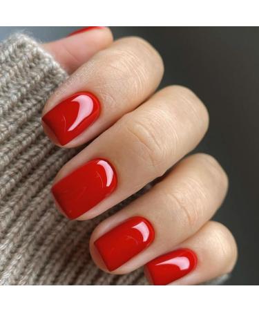 Justotry 24 pieces Blood red nails to stick on short single -colored angular press on nails design glossy artificial nails fake nails French square fingernails artificial nails for women 26red & solid12 - Buy Online on GoSupps.com