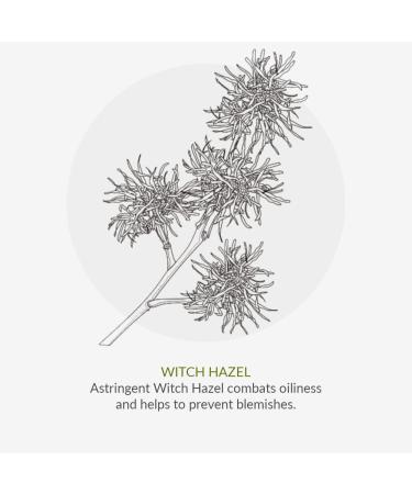 Green People Teen Skincare Set | Skincare Set for Teenagers Girls & Boys | Face Wash Serum & Moisturiser | Spots & Blemishes | Preppy Skincare | Gift for Teen Pre-teen & Tween | Cruelty-Free & Vegan - Buy Online on GoSupps.com