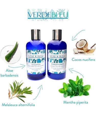 99% Natural - PH Balanced - SHAMPOO FOR OILY HAIR - ALOE VERA TEA TREE & MINT - 250ml by VERDEBLEU - Free of sulfates Parabens. We Donate 5% of Profits to Save the Rainforests - Buy Online on GoSupps.com