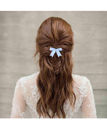 Aneneiceera Vintage Silk Bow Hair Clip Blue Bow Hair Barrette Clip Tiny Tulle Hair Bow Clip French Bowknot Tail Clips Cute Bowknot Hair Accessories for Women and Girls Gifts (Light Blue) - Buy Online on GoSupps.com