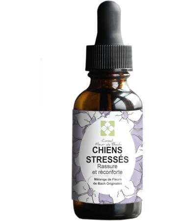 Floral Elixir Blend for Stressed Dogs - Quickly Comfort Your Dog. This Blend is a Natural Anti-Stress for His Daily Life (30ML) Pack of 2 - Buy Online on GoSupps.com