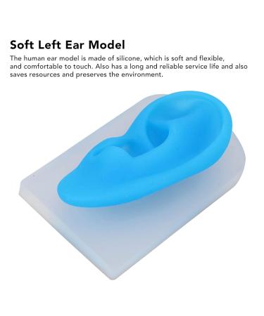 Reusable Silicone Left Ear Model for Teachers - School Ear Piercing Model with Transparent Base - Buy Online on GoSupps.com